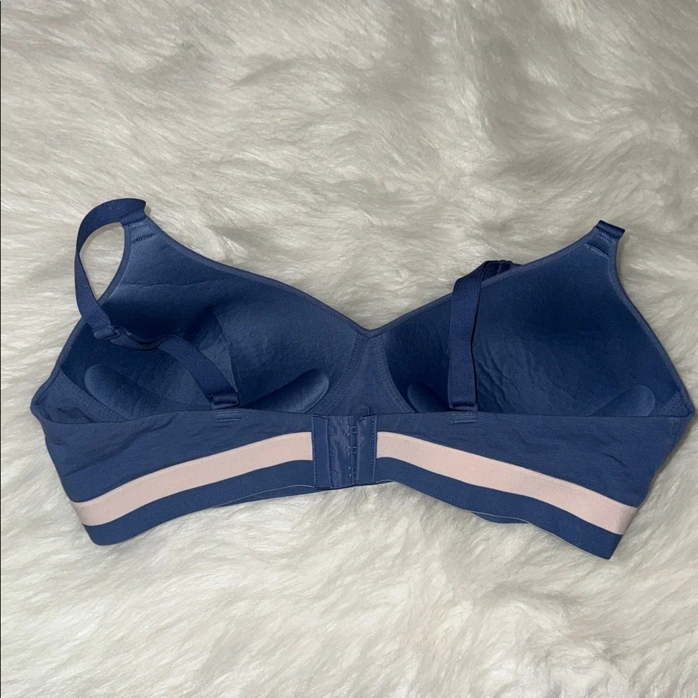 Hanes Blue Bra with Soft Pink Accent